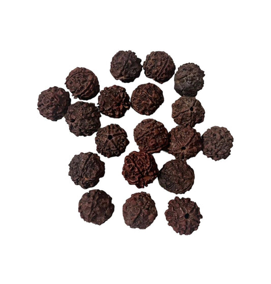 Panchamukha rudraksh beads (200gm approx 100 beads)
